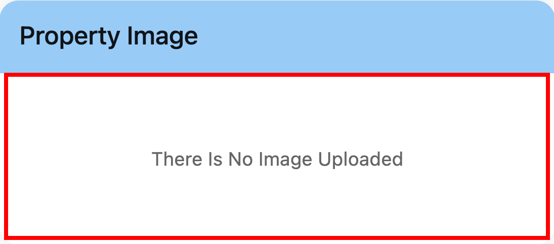 App property image section