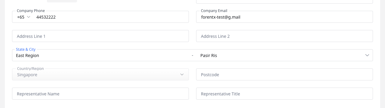 Company Information lower fields