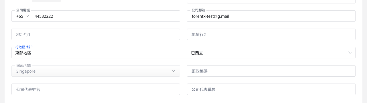 公司資訊下半部欄位